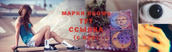 стаф Аркадак