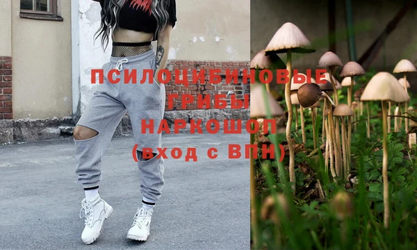 а пвп мука Армянск