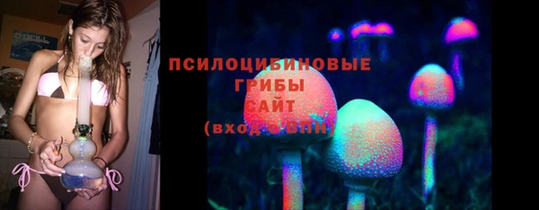 а пвп мука Армянск