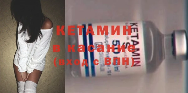 стаф Аркадак