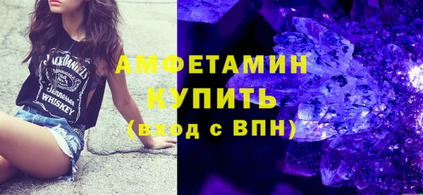 твердый Арсеньев